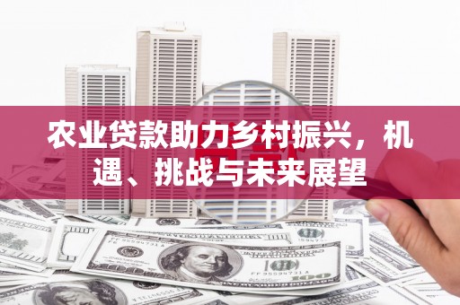 浑源农业贷款助力乡村振兴，机遇、挑战与未来展望