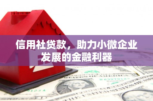 浑源信用社贷款，助力小微企业发展的金融利器