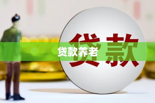 浑源贷款养老