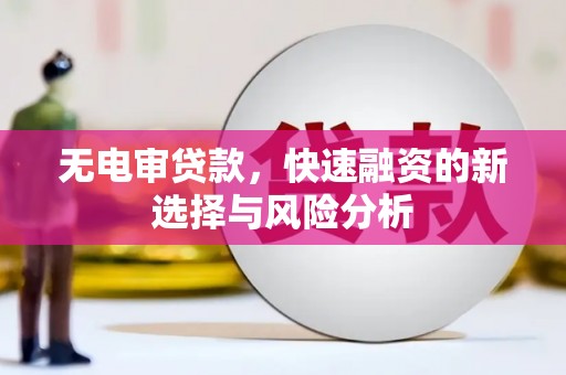 浑源无电审贷款，快速融资的新选择与风险分析