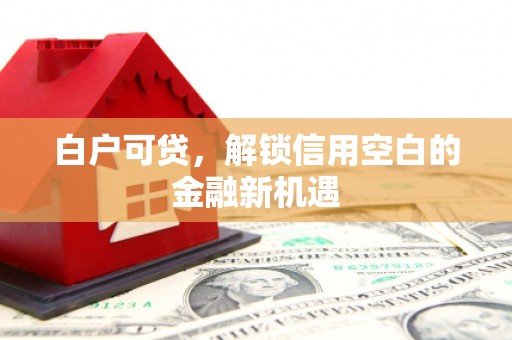 浑源白户可贷，解锁信用空白的金融新机遇