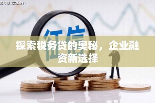 浑源探索税务贷的奥秘，企业融资新选择