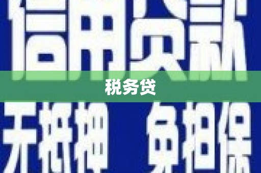 浑源税务贷