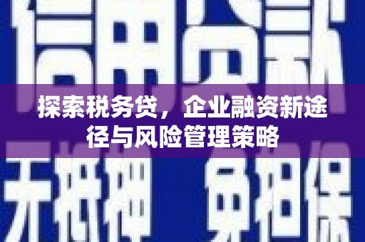 浑源探索税务贷，企业融资新途径与风险管理策略