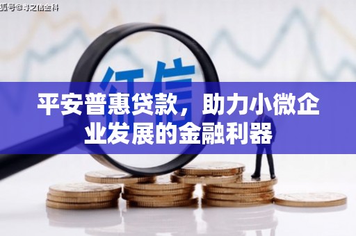 浑源平安普惠贷款，助力小微企业发展的金融利器