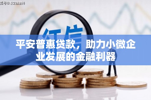 浑源平安普惠贷款，助力小微企业发展的金融利器