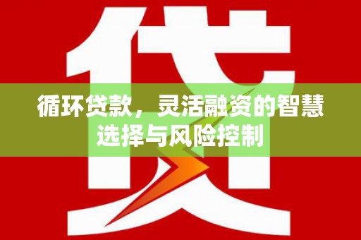 浑源循环贷款，灵活融资的智慧选择与风险控制