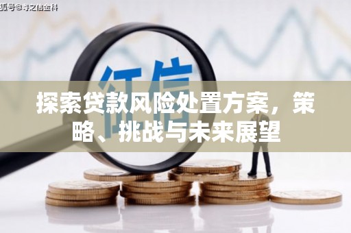 浑源探索贷款风险处置方案，策略、挑战与未来展望