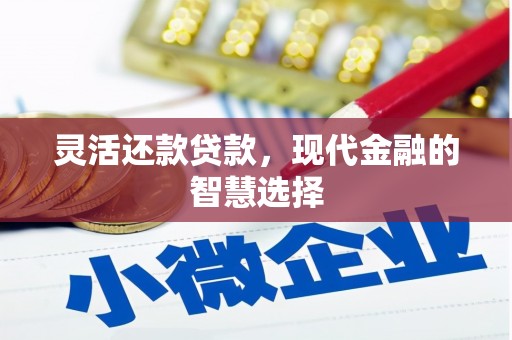 浑源灵活还款贷款，现代金融的智慧选择