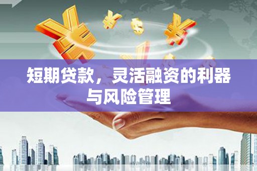 浑源短期贷款，灵活融资的利器与风险管理
