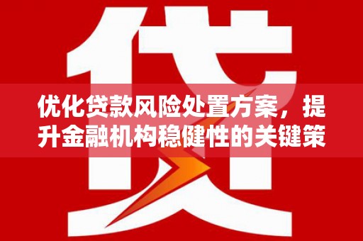 浑源优化贷款风险处置方案，提升金融机构稳健性的关键策略