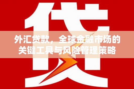浑源外汇贷款，全球金融市场的关键工具与风险管理策略
