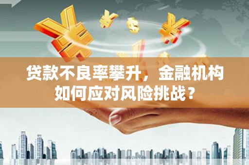 浑源贷款不良率攀升，金融机构如何应对风险挑战？