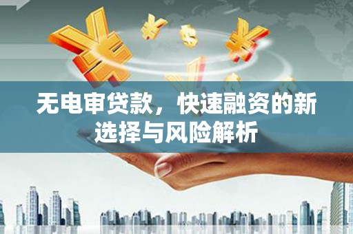 浑源无电审贷款，快速融资的新选择与风险解析
