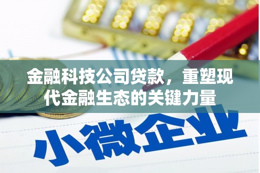 浑源金融科技公司贷款，重塑现代金融生态的关键力量
