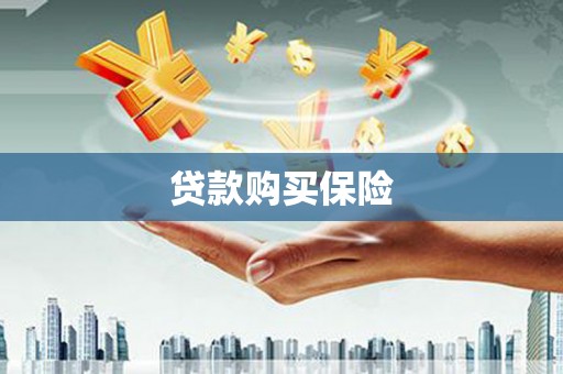 浑源贷款购买保险