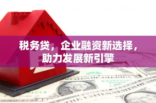 浑源税务贷，企业融资新选择，助力发展新引擎