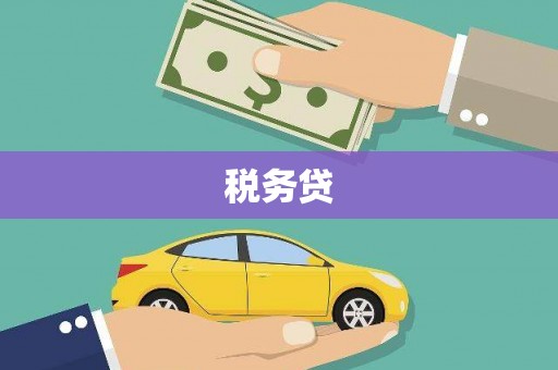 浑源税务贷