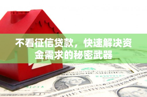 浑源不看征信贷款，快速解决资金需求的秘密武器