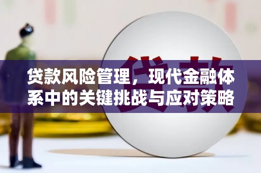 浑源贷款风险管理，现代金融体系中的关键挑战与应对策略