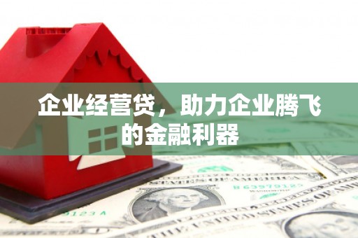 浑源企业经营贷，助力企业腾飞的金融利器
