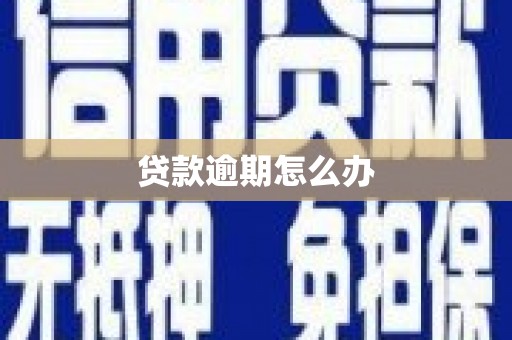 浑源贷款逾期怎么办