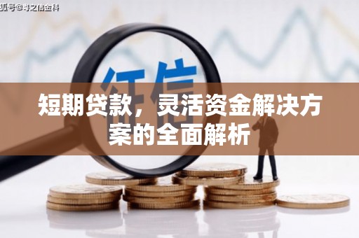 浑源短期贷款，灵活资金解决方案的全面解析