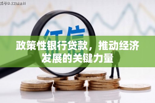 浑源政策性银行贷款，推动经济发展的关键力量