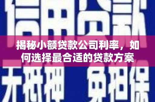 浑源揭秘小额贷款公司利率，如何选择最合适的贷款方案