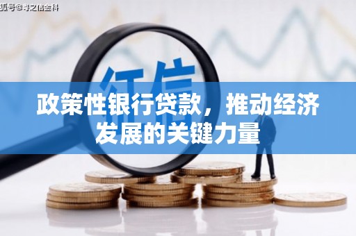 浑源政策性银行贷款，推动经济发展的关键力量