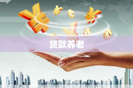 浑源贷款养老