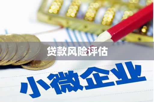 浑源贷款风险评估
