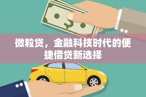 浑源微粒贷，金融科技时代的便捷借贷新选择