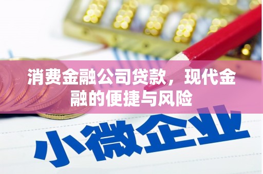 浑源消费金融公司贷款，现代金融的便捷与风险
