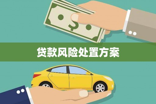浑源贷款风险处置方案