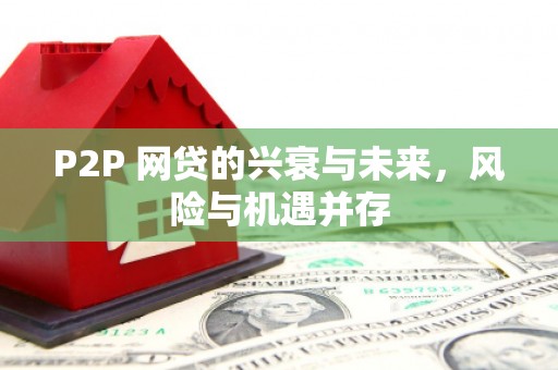 浑源P2P 网贷的兴衰与未来，风险与机遇并存