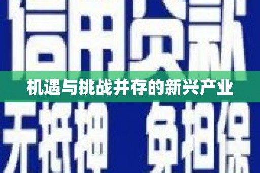 浑源机遇与挑战并存的新兴产业