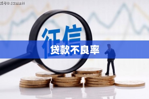 浑源贷款不良率