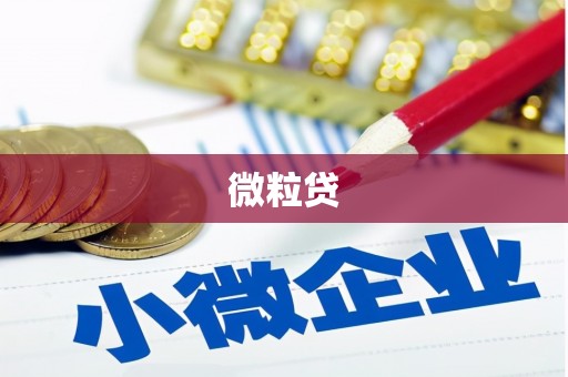 浑源微粒贷