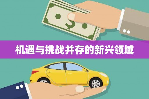 浑源机遇与挑战并存的新兴领域