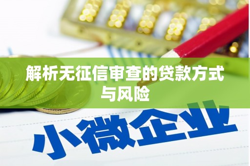 浑源解析无征信审查的贷款方式与风险