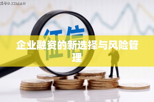浑源企业融资的新选择与风险管理