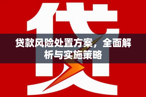 浑源贷款风险处置方案，全面解析与实施策略