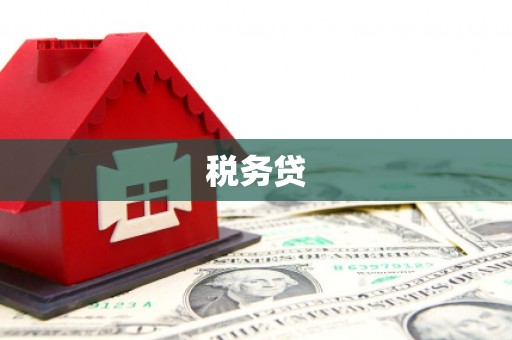 浑源税务贷