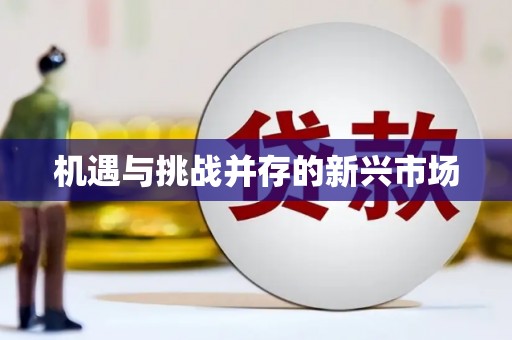 浑源机遇与挑战并存的新兴市场