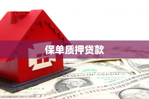 浑源保单质押贷款