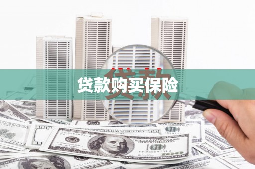浑源贷款购买保险