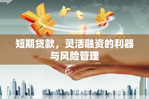 浑源短期贷款，灵活融资的利器与风险管理